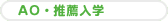 AO・推薦入試の場合