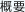 概要