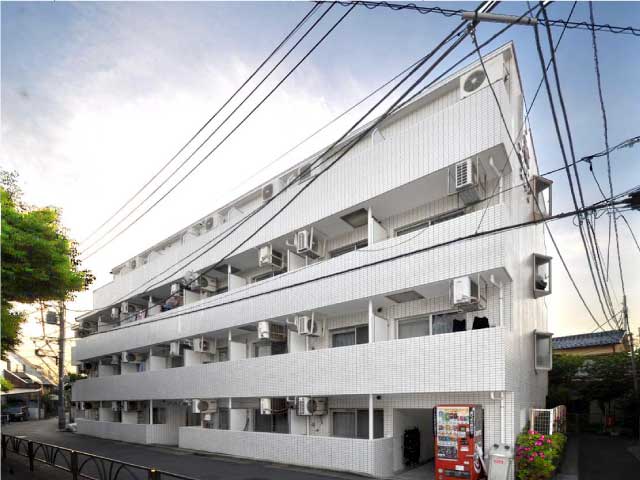 JR常磐線 金町駅 53,000円