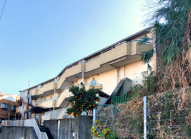 小田急小田原線 向ヶ丘遊園駅 30,000円 写真