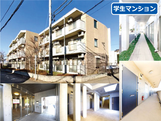 京王線 国領駅 56,000円