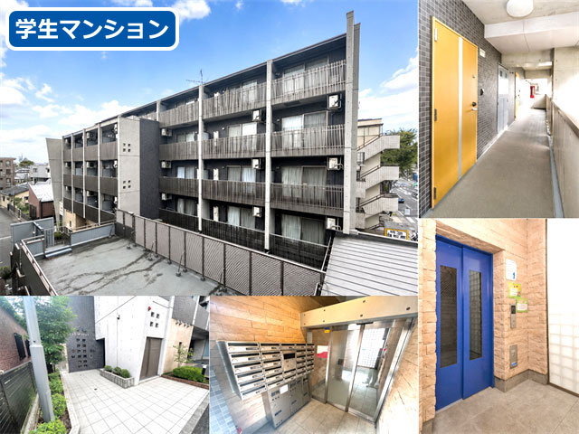 京王線 国領駅 66,000円