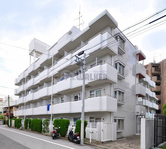 金町の賃貸 46,000円 写真1