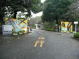 国際基督教大学