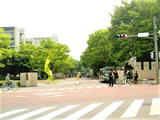 埼玉大学
