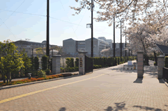 獨協大学