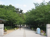 東京経済大学