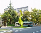 埼玉大学