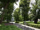 日本社会事業大学
