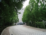 和光大学