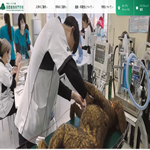 国際動物専門学校
