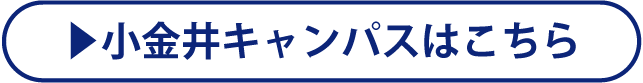 ボタン